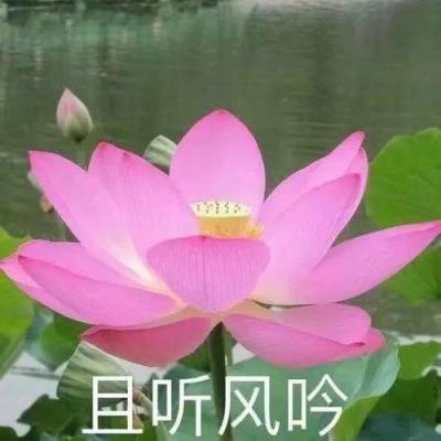 迷失星球2果盘客户端下载